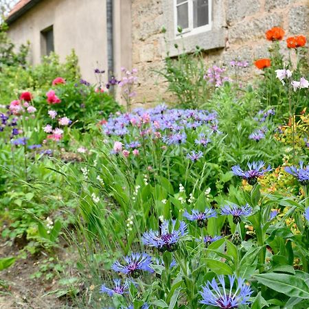 Hotel Schwarzes Ross Rothenburg ob der Tauber Pokój zdjęcie