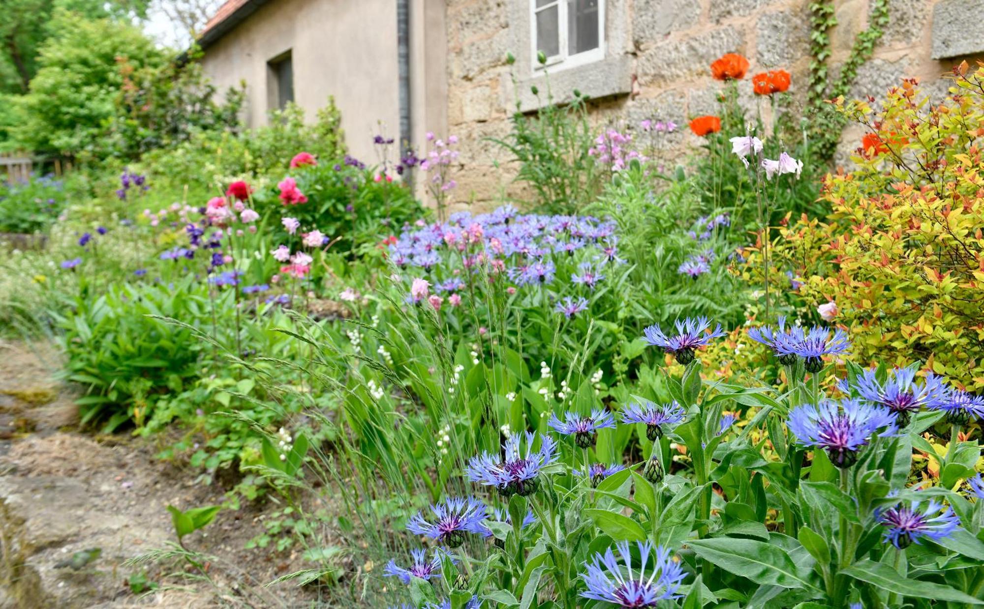 Hotel Schwarzes Ross Rothenburg ob der Tauber Pokój zdjęcie